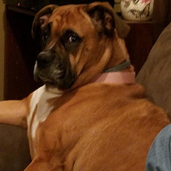 Meet your Posher, Donnarogers - Picture 1 of 1